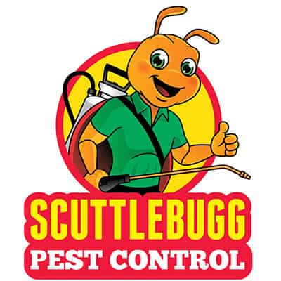 pest control logo character design